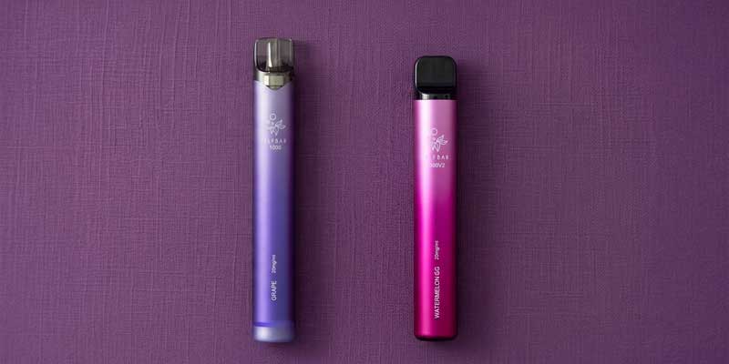 Elfbar 1000 und Elfbar 600 V2 nebeneinander im Vergleich von Einweg zu Prefilled Elfbar Vapes