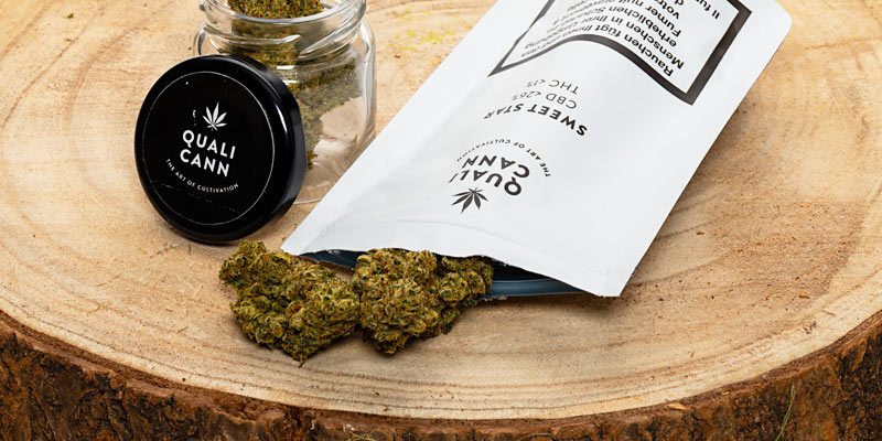 CBD-Blüten mit weniger als 1 % THC – legale CBD-Produkte in der Schweiz