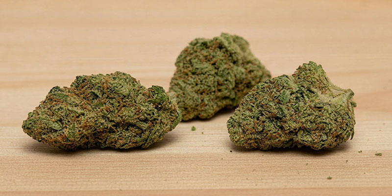 CBD-Bl&uuml;ten &ndash; nat&uuml;rliche Hanfbl&uuml;ten als Beispiel f&uuml;r h&auml;ufige Fragen zu CBD