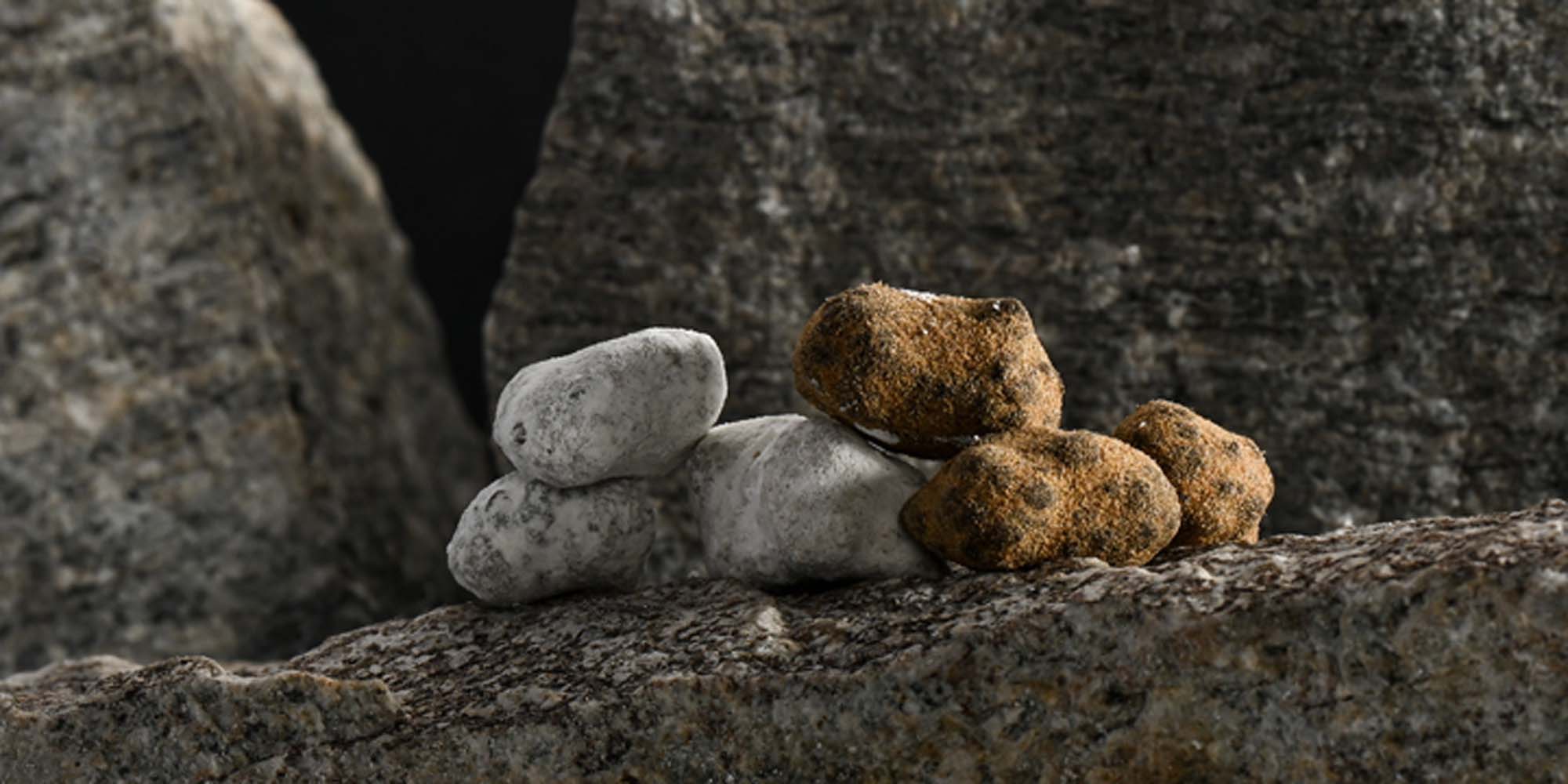 CBD Öl Verpackung vor Cannabisblättern, Vollspektrum und Breitspektrum CBD Öl aus der Schweiz kaufen