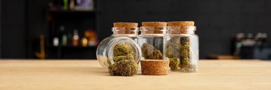 CBD-Blüten im Test: Diese Sorten überzeugen im Blindvergleich